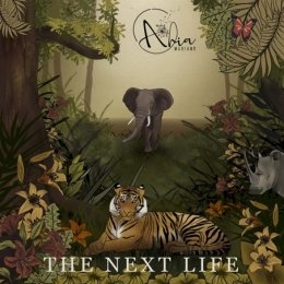 ARIA “The Next Life”: in occasione della giornata della terra esce il singolo del nuovo progetto del produttore e compositore Mariano Schiavolini